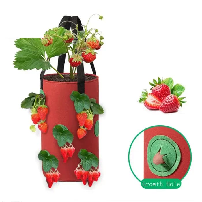 Sac de plantation suspendu pour fraises et tomates, pot de culture vertical pour fraises (1 pièce)