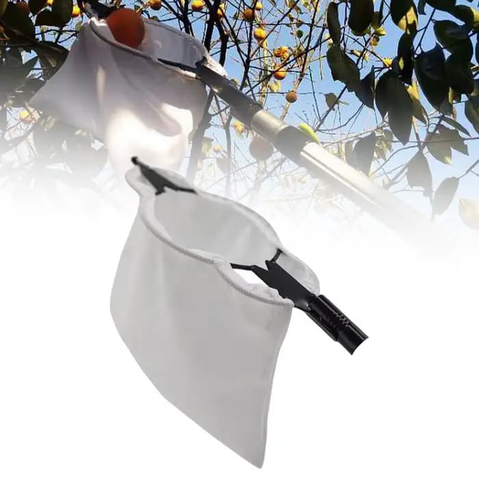 Cueilleur de fruits Cueilleur d'arbres Outils légers de cueillette des fruits Cueilleur de fruits po