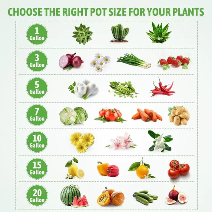 SPONDWILD 30 pièces 15 gallons tomates/pommes de terre sacs de culture épaissi Non-tissé tissu jardin serre Pot légumes