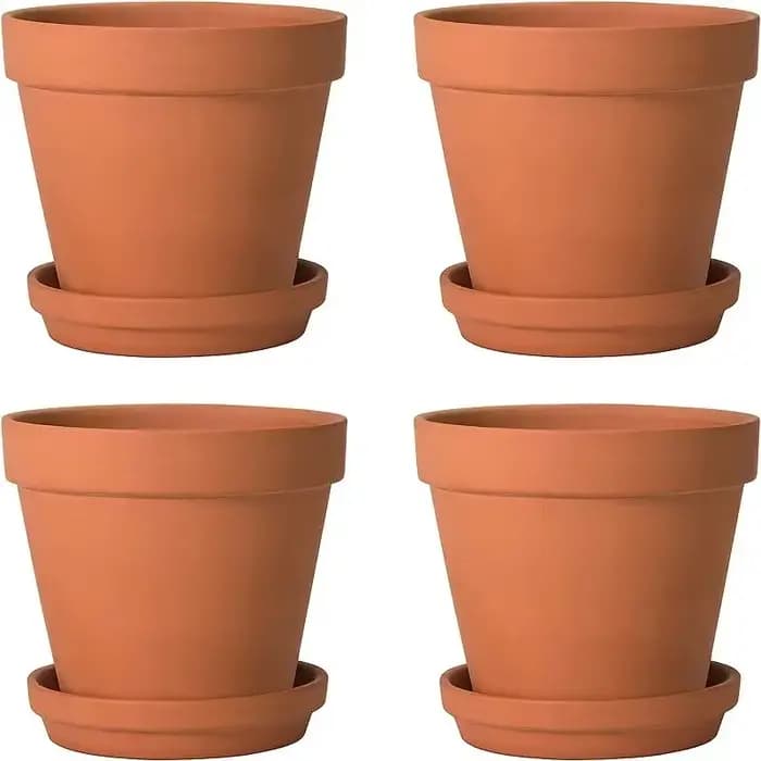 Petits Pots en terre cuite de 3 pouces avec soucoupe
