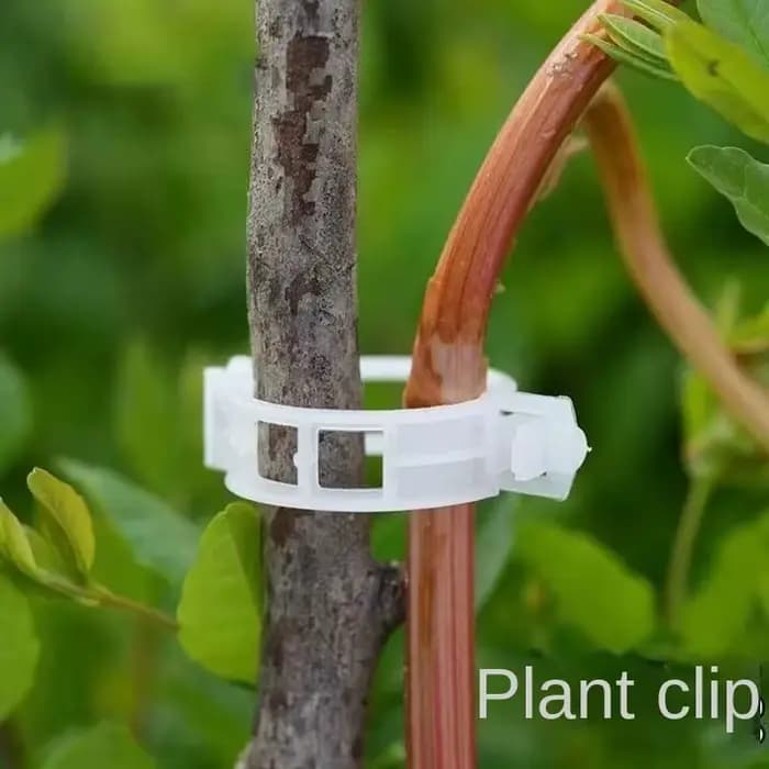 Clips de Support de plantes en plastique réutilisables