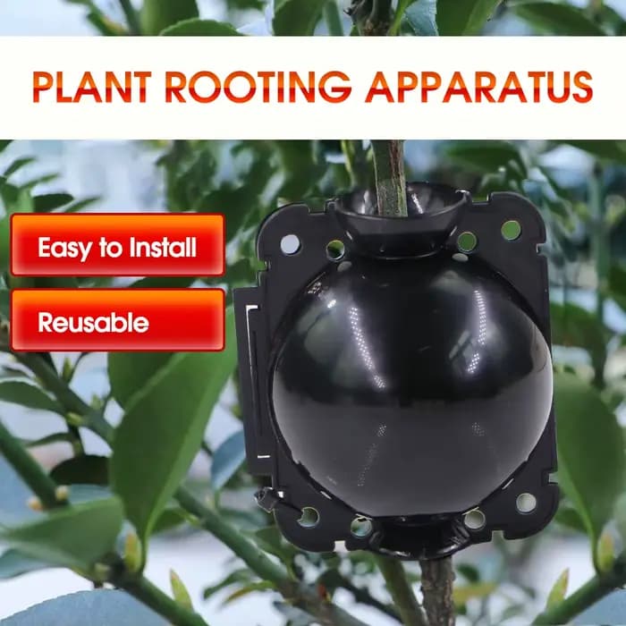 Boule d'enracinement de plantes réutilisables noires, Pot de transplantation de pépinière, Propagati