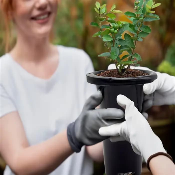 Pots de pépinière en plastique pour plantes profondes AA81-30Pcs, Pots d'arbre hauts et épais et stables, Pots de conteneur de plantes de semis hauts réutilisables, profonds