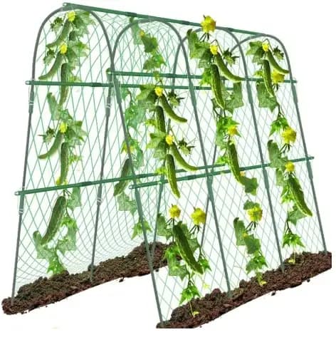 Arche de jardin extérieure verte
