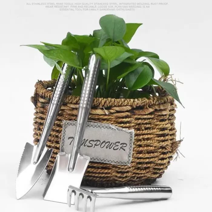 Spatule de jardinage en acier inoxydable pour bonsaï