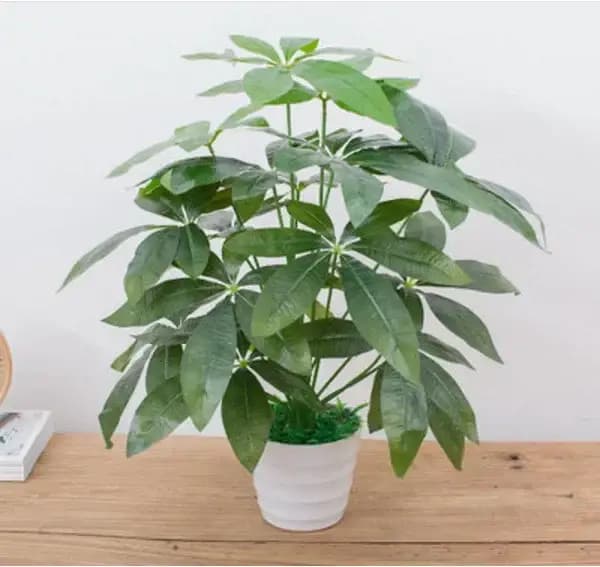 Arbre Monstera en plastique sans Pot d'aloès vert