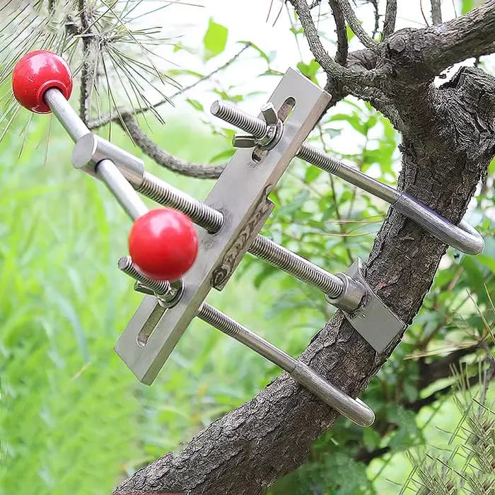 Outils de bonsaï, modulateur de branches d'arbres