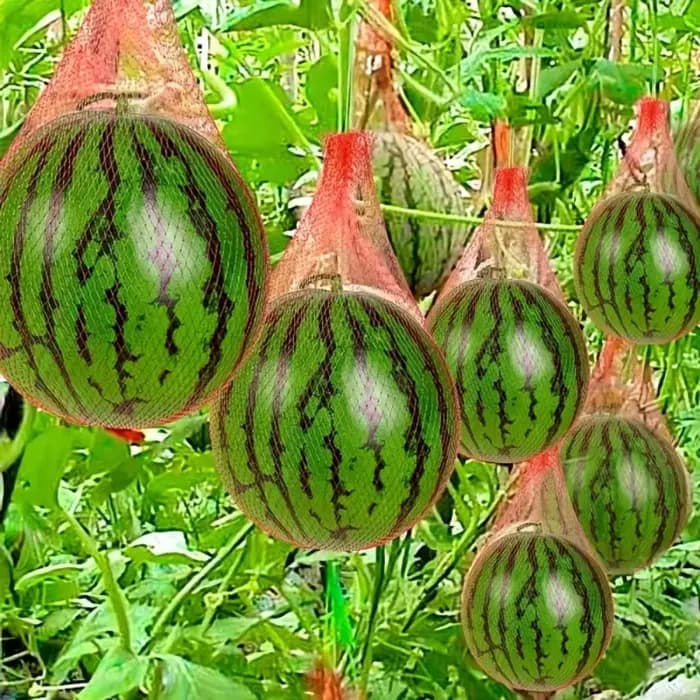 100 pièces de filet de jardin en plastique robuste, adaptés aux melons, aux pastèques, à la plantation verticale et aux hamacs avec sangles.