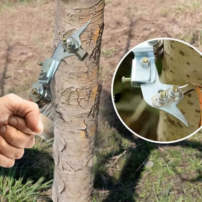 Coupe-anneau d'écorce d'arbre réglable, ciseaux de branche d'arbre, coupe-ceinture d'écorce, outil de cisaillement d'épluchage, décapant de jardin pour fruits