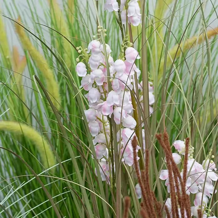 Grandes Plantes Vertes de Bellflower