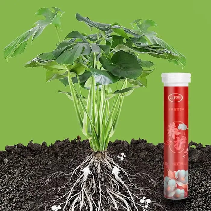 L'engrais organique au phosphore à libération restée accélère la croissance des plantes comprimés nutritionnels potassium comprimé à libération lente fleurs