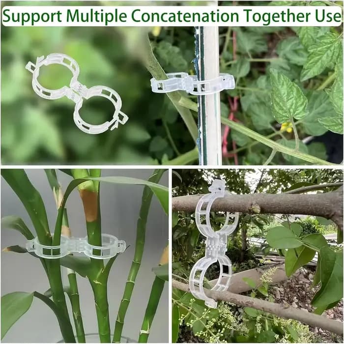 Clips pour plantes grimpantes, 50 à 100 pièces, pinces à tomates pour suspendre des plantes, Support