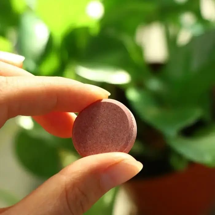 L'engrais organique au phosphore à libération restée accélère la croissance des plantes comprimés nutritionnels potassium comprimé à libération lente fleurs