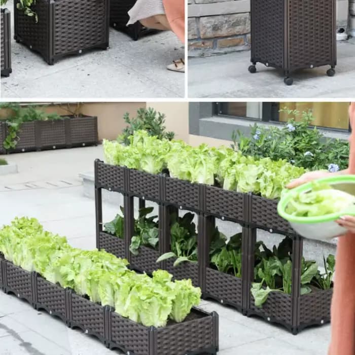 Grande boîte de plantation de légumes pour jardin et balcon
