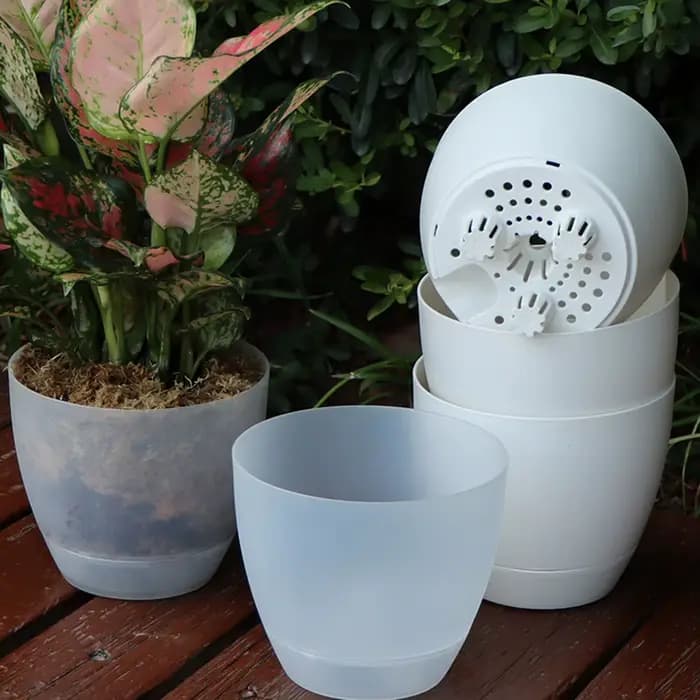 Pot d'orchidée transparent avec trous