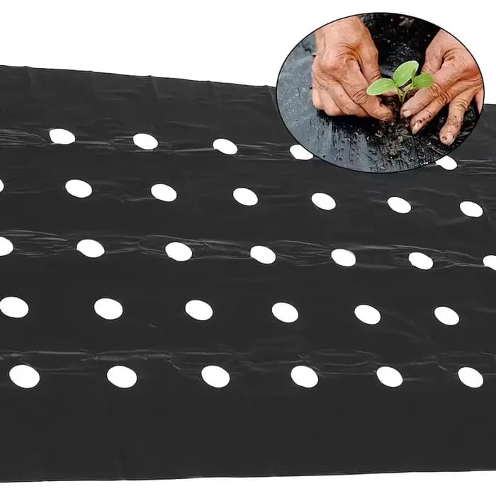 1 rouleau de film plastique perforé