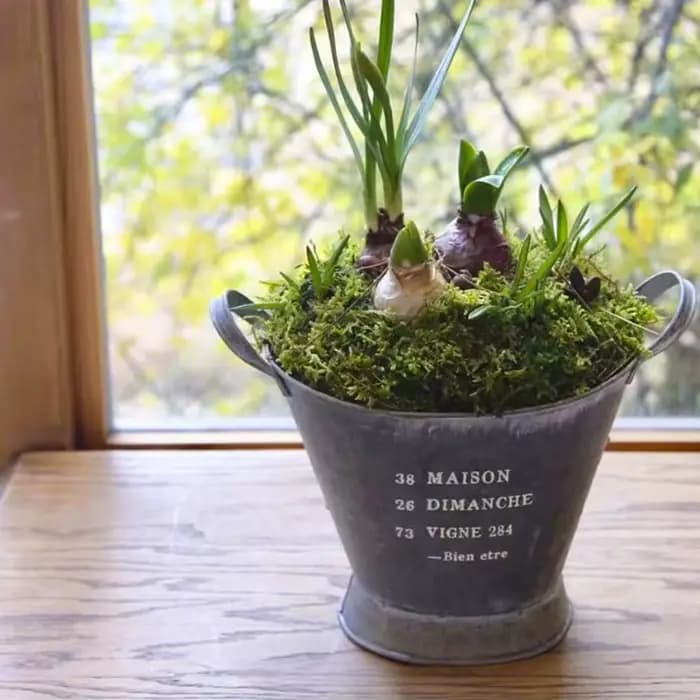 Ins – Pot de fleur Vintage en fer à Double poignée
