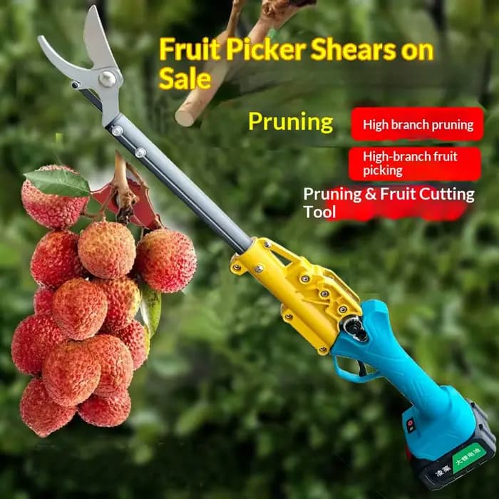 Sécateurs électriques extensibles pour la cueillette des litchis