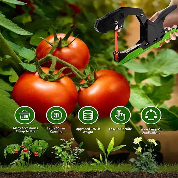 Machine à relier les tomates-nouveau outil de jardinage pour la semis de vigne