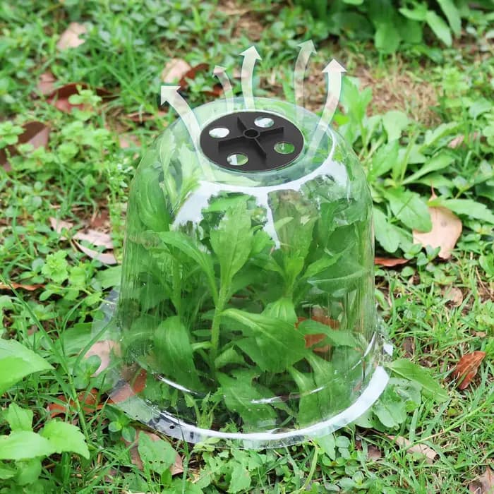 Mini cloches de serre en plastique réutilisables