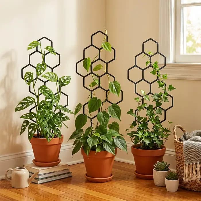 2 treillis pour plantes en forme de nid d'abeille