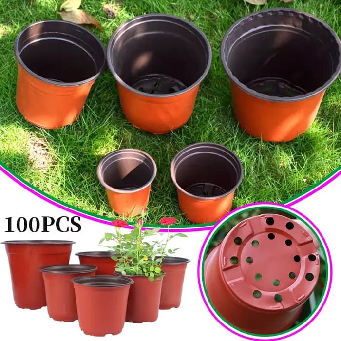 Pot de démarrage de graines de plantes, 100 pièces, récipient de plantes à fleurs en plastique, plan