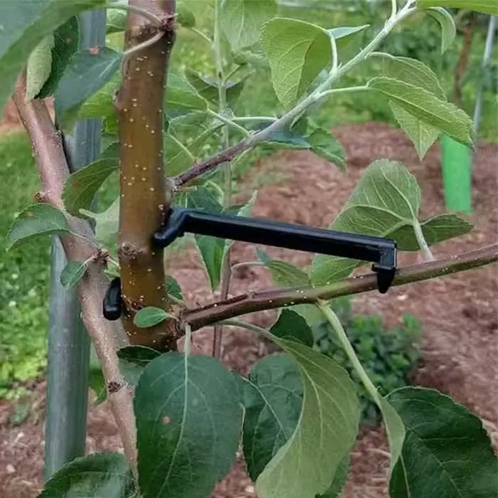 Clips pour arbres fruitiers, Support de vignes, façonneurs torsadés, extracteur de Branches, style d
