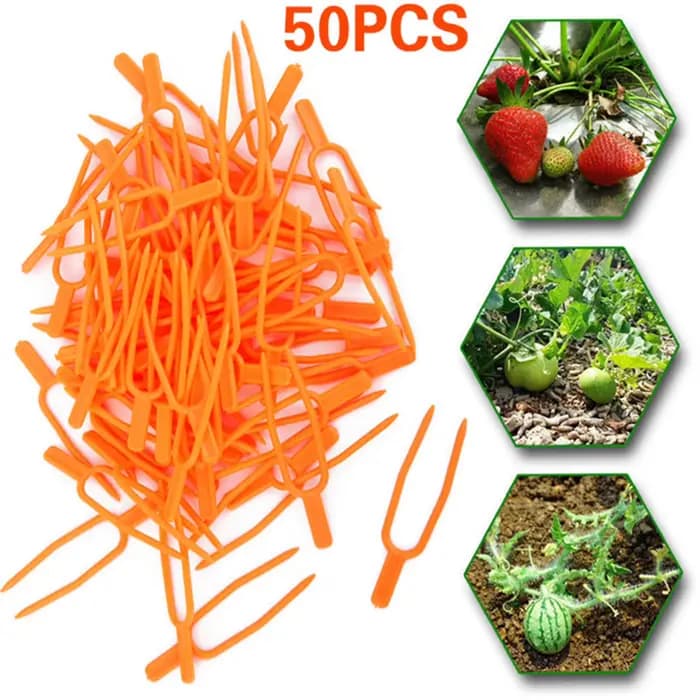 50 Pièces de Pinces de Fixation en Plastique pour Plantes de Jardinage, Agricoles, Fleurs, Melons et