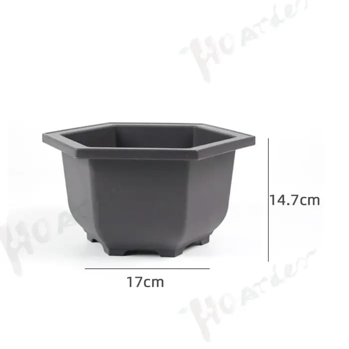 Pots d'entraînement avec plateau en plastique pour plantes bonsaï