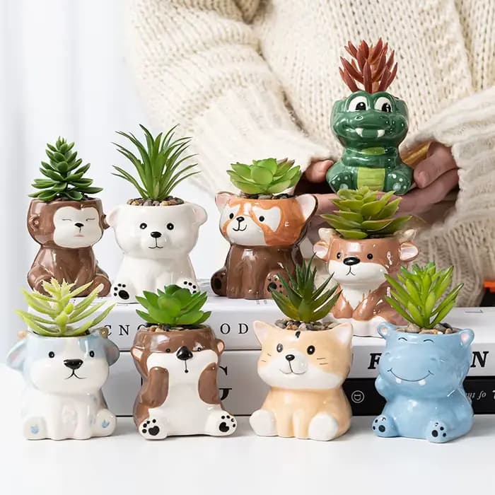 Pot de fleurs charnu mignon de dessin animé Amazon