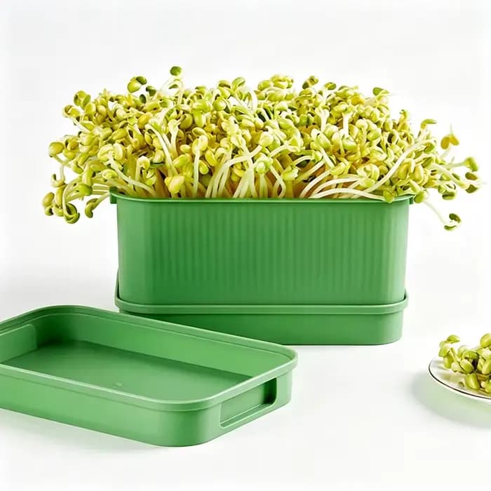 Bac de germination pour graines, boîte de germination hydroponique pour pois, haricots, arachides, bacs à semis rectangulaires réutilisables avec trous de drainage