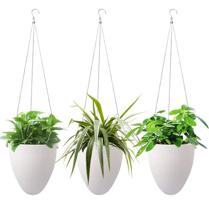 Nouveau bassin suspendu en forme d'œuf blanc Pots de fleurs Pot