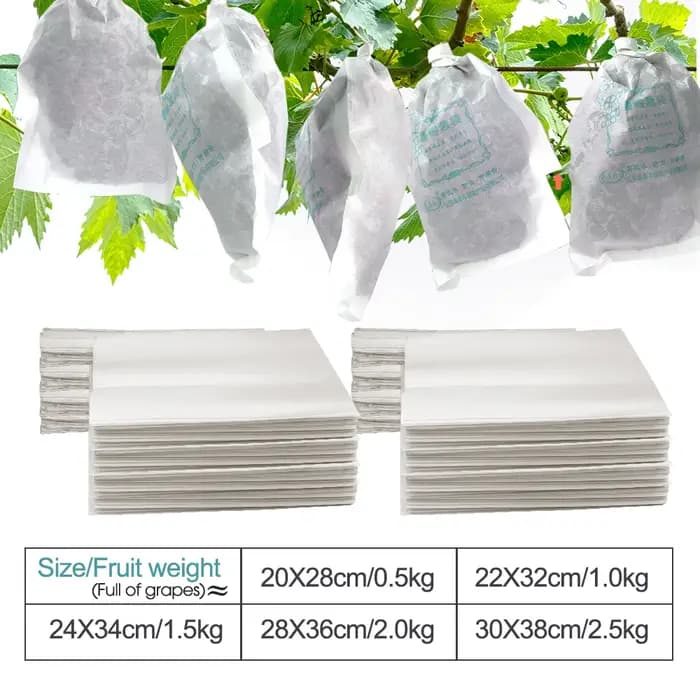 Sacs de Protection de Raisin en Papier Blanc pour Verger, Étanches aux Mites, pour la Culture de Fru