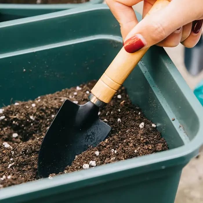 Mini kit d'outils de jardinage de bureau – Ensemble de 3 petits outils à main (truelle et râteau) pour plantes en pot