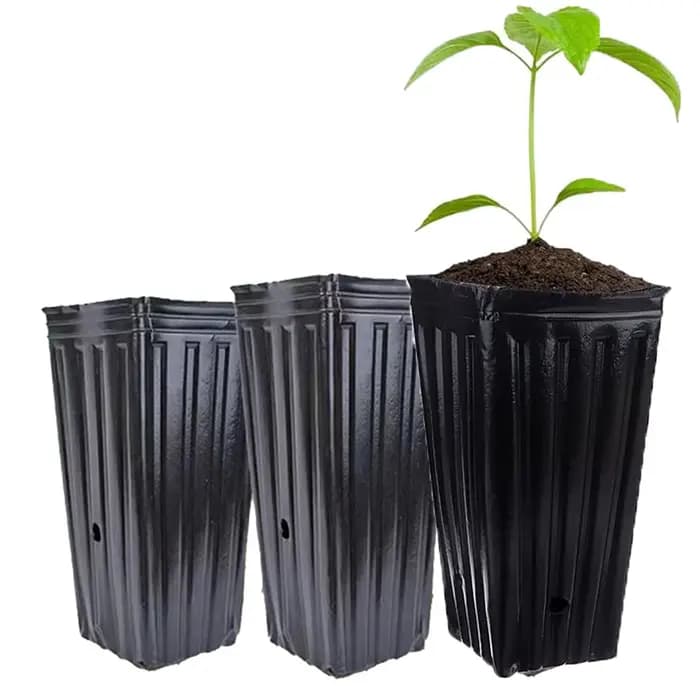 20 pièces grands Pots d'arbre profond, plantes pépinière grands conteneurs de plantes à fleurs Pots de démarrage Pots de pépinière de semis de plantes pour Gard extérieur