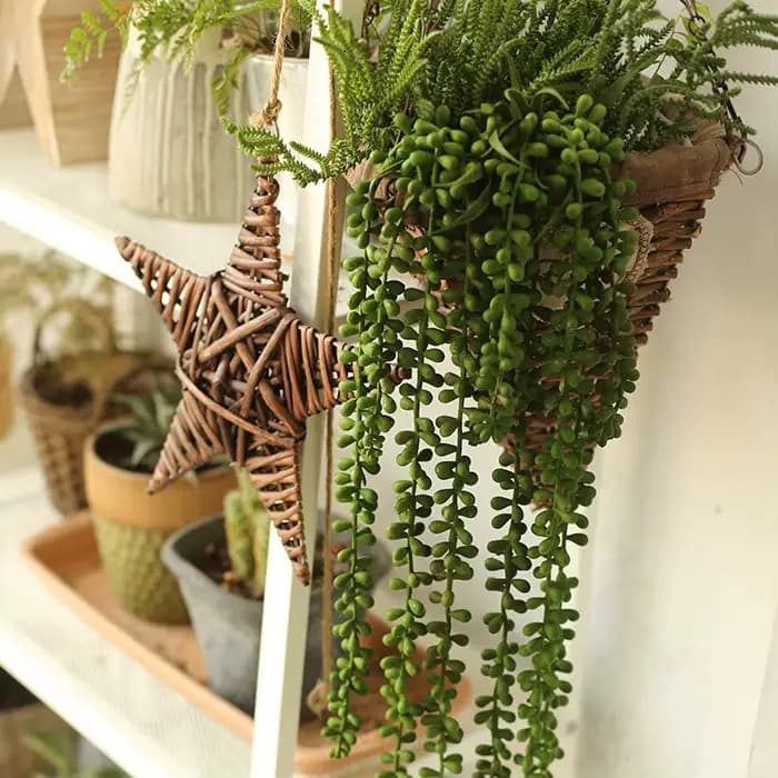 Plantes succulentes artificielles vertes, maison, jardin, chambre à coucher, balcon, Table de bureau, Mini bonsaï, décoration de fête de mariage, fausses plantes