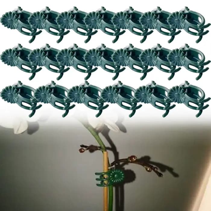20 pièces orchidée tige pince plante Support vigne Clips en plastique fleur grandir branche pinces j