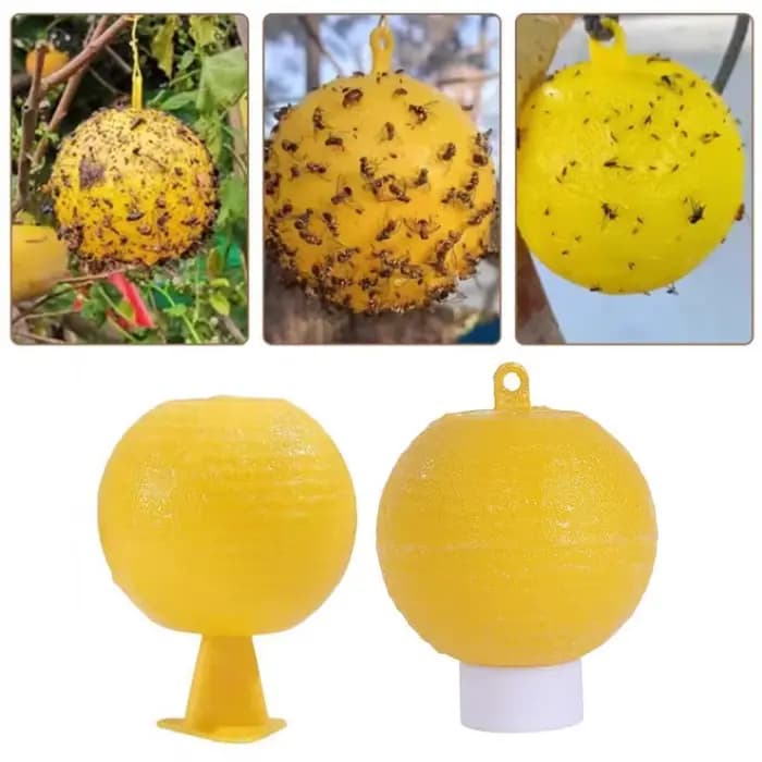 Pièges à mouches fruitiers avec sphères adhésives pour se baigner