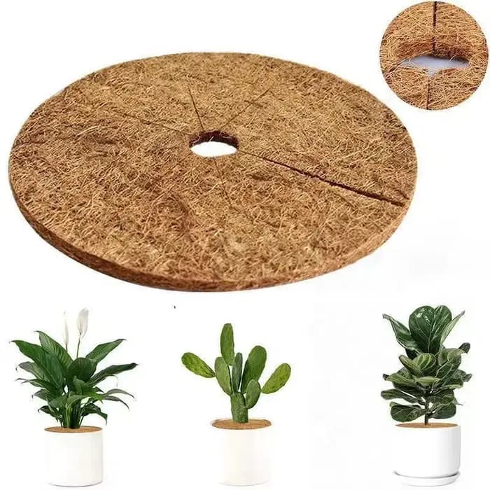 Lot de 3 tapis de paillis en coco pour pot de fleurs