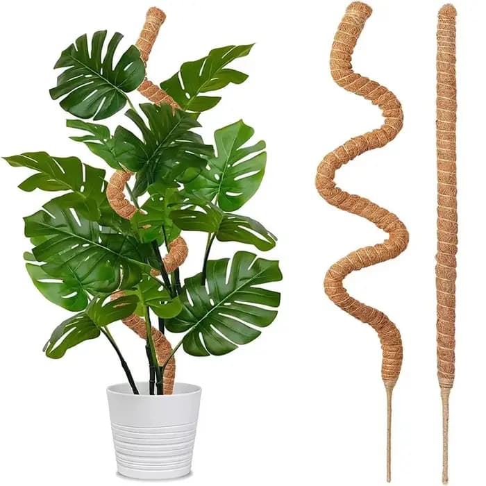 Support de grimpement pliable pour plantes