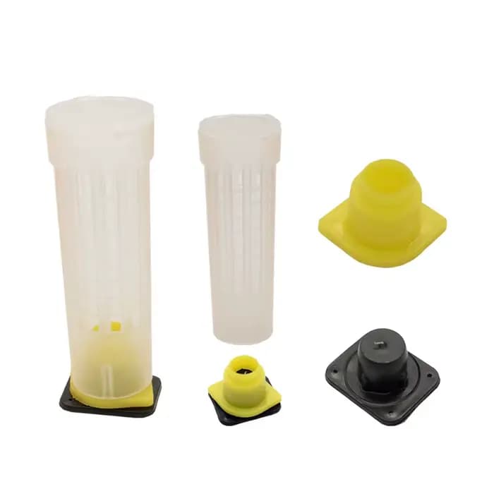 100 pièces en gros apiculture reine abeille système d'élevage Cages de Protection outils en plastiqu