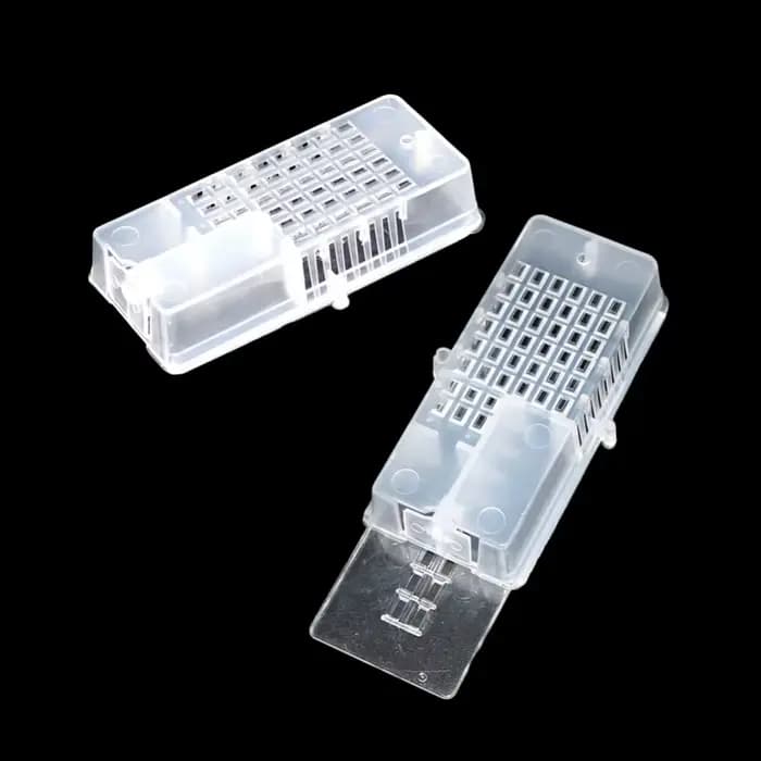 100 pièces nouveau Transparent abeille roi Cage apiculteur outil apiculture reine Cage abeille outil