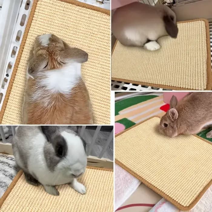 Tapis à mâcher et à gratter pour lapin – Coussin antidérapant en fibre naturelle | Sous-vêtements en cage et soins des