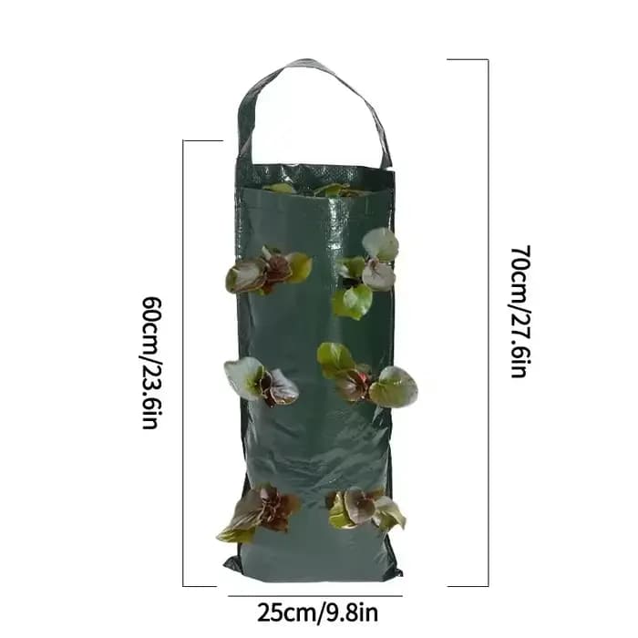 Sacs de culture suspendus pour fraises et tomates