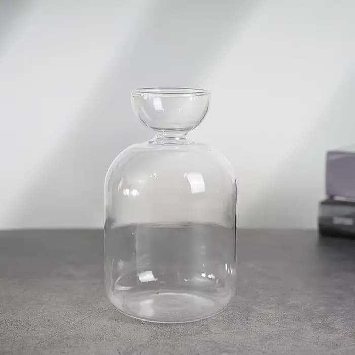 Vase hydroponique transparent en verre pour semis d'avocat