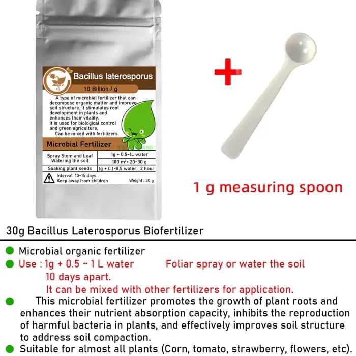 Engrais organique vert Bacillus Lateralosporus