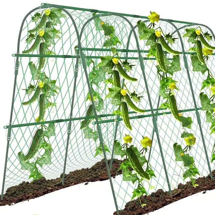 Arche de jardin extérieure verte