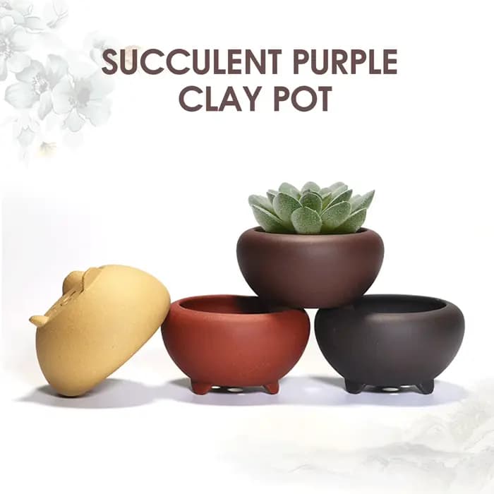 Pot de fleurs succulentes en grès pour la maison, plantes et fleurs élégantes pour les amateurs de jardin, cadeau pour amoureux
