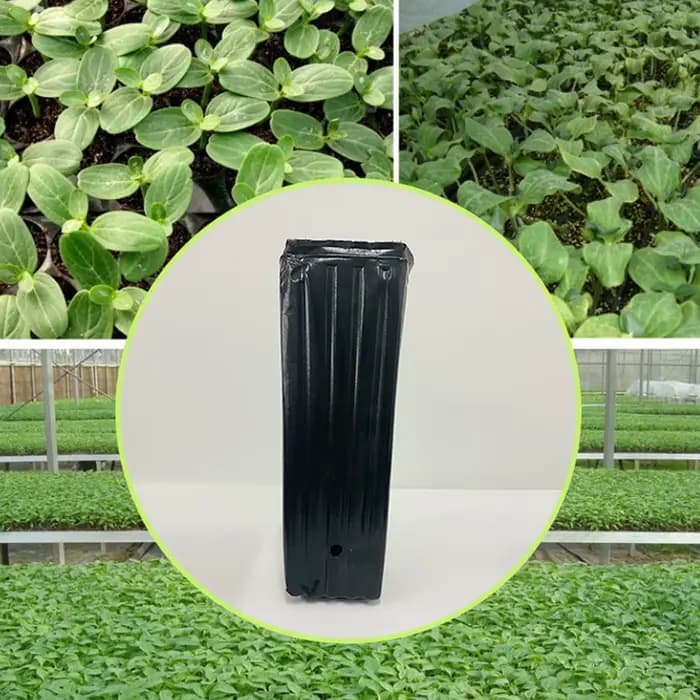 20 pièces grands Pots d'arbre profond, plantes pépinière grands conteneurs de plantes à fleurs Pots de démarrage Pots de pépinière de semis de plantes pour Gard extérieur