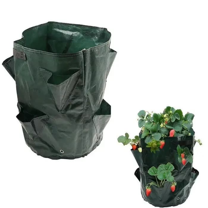 5/7/10 Gallons PE fraise planteur sacs de culture Pot de pommes de terre Pots de Jardin maison